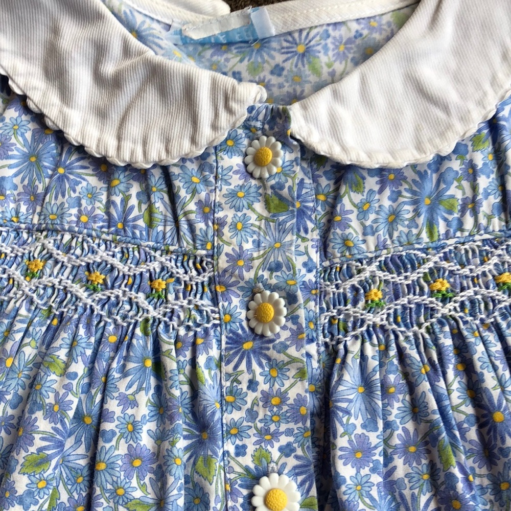 Daisy Blue - Picture 7 of 7